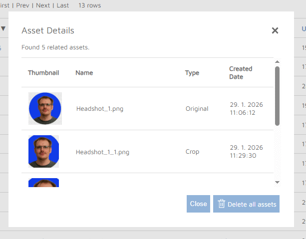 Asset Details Dialogue